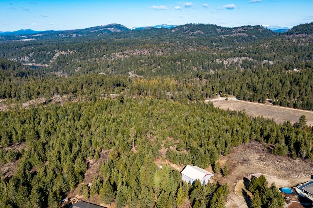 Lot A Lot A Spring Valley Road Elk, WA 99009 - Photo 7 of 10