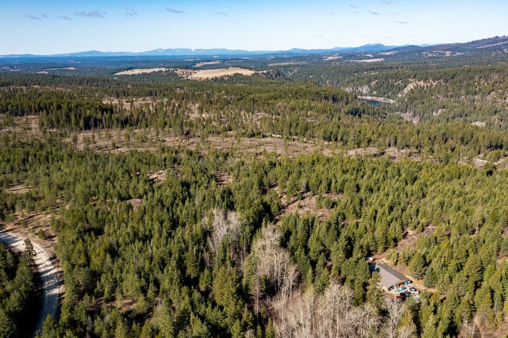 Lot A Lot A Spring Valley Road Elk, WA 99009 - Photo 8 of 10