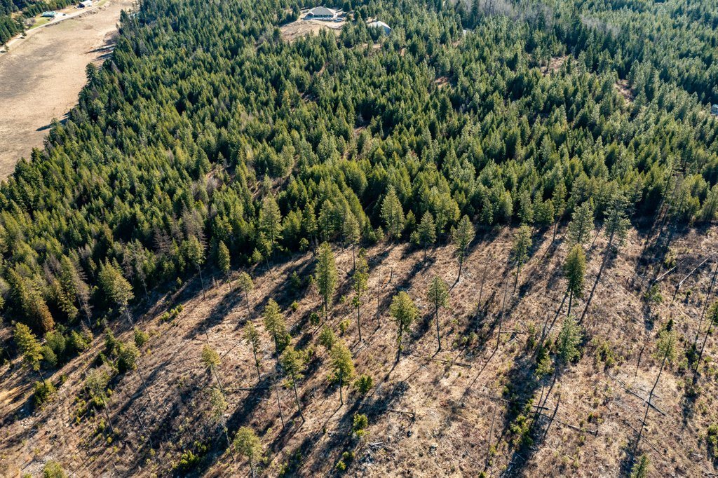Lot A Lot A Spring Valley Road Elk, WA 99009 - Photo 9 of 10