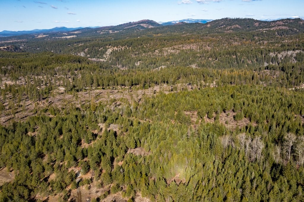 Lot A Lot A Spring Valley Road Elk, WA 99009 - Photo 10 of 10