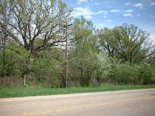 0 Moate Road Durand, IL 61024 - Photo 1 of 1 a view of a yard