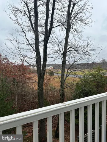 a view of a trees from a backyard