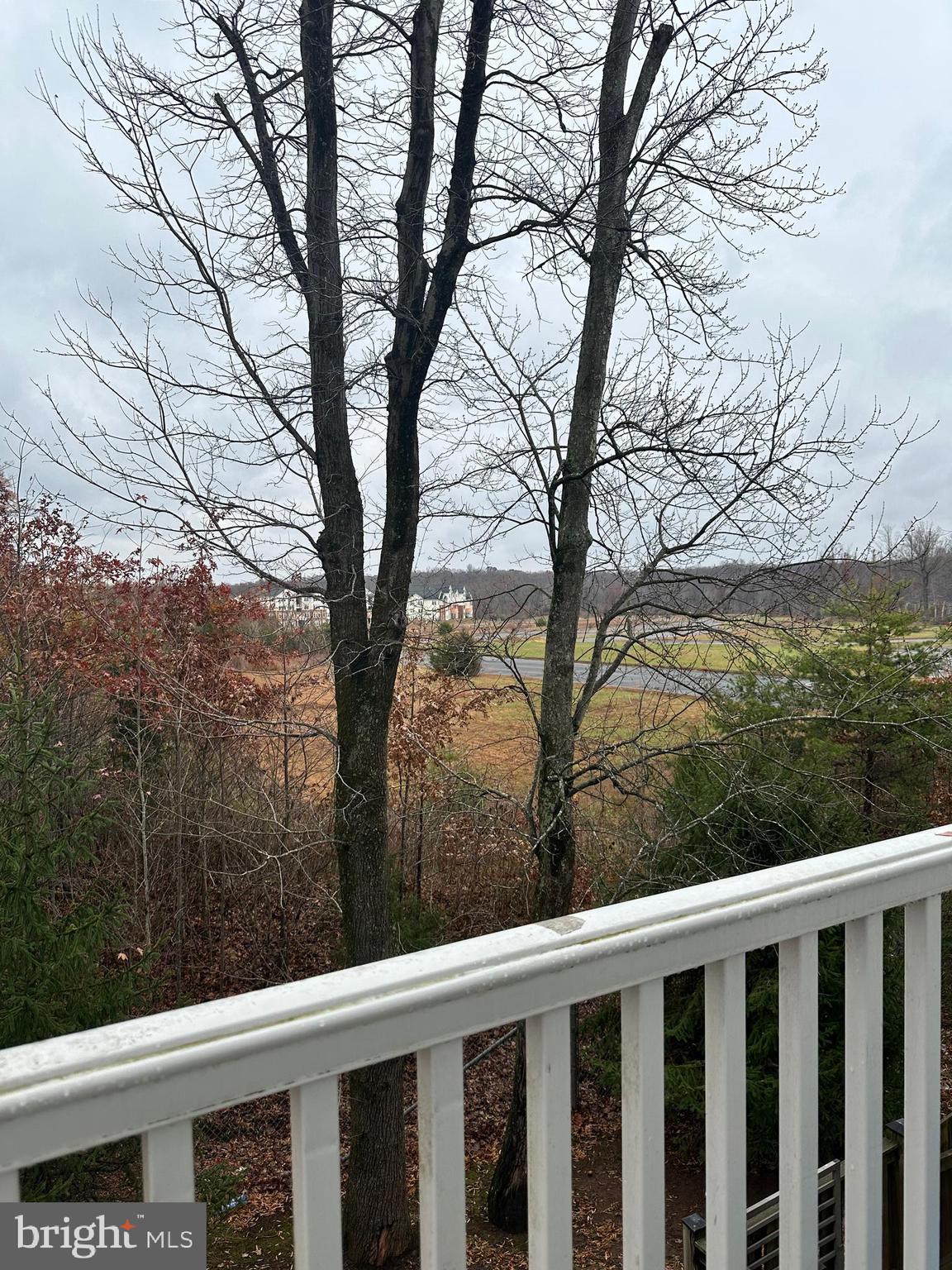 7444 Riding Meadow Way Manassas, VA 20111 - Photo 25 of 36 a view of a trees from a backyard