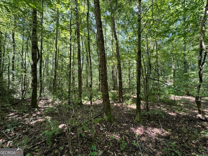 0 Old Columbus Road Bowdon, GA 30108 - Photo 11 of 30 a view of outdoor space and green space