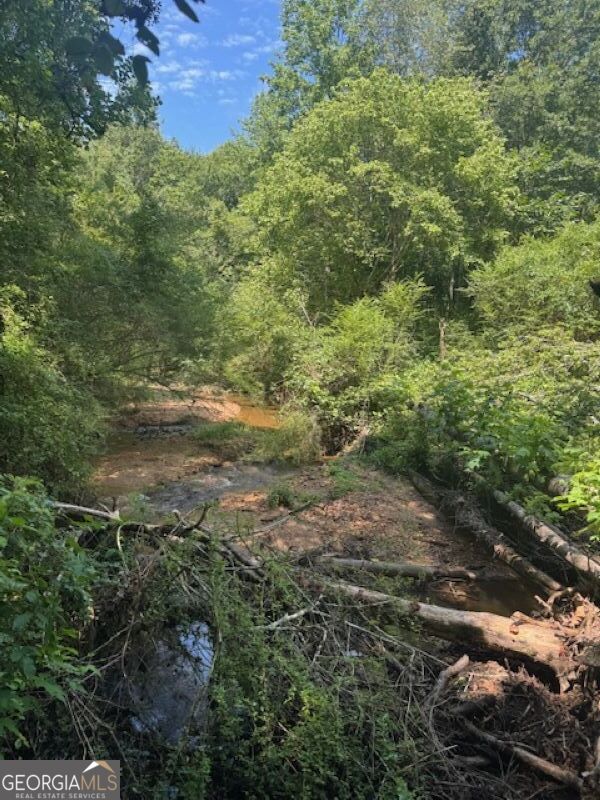 0 Old Columbus Road Bowdon, GA 30108 - Photo 12 of 30 a view of outdoor space and trees