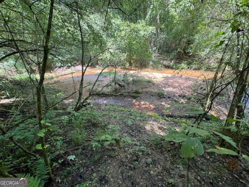 0 Old Columbus Road Bowdon, GA 30108 - Photo 13 of 30 a view of a yard