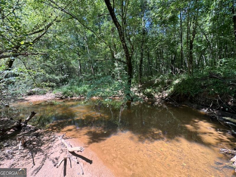 0 Old Columbus Road Bowdon, GA 30108 - Photo 14 of 30 a view of lake with green space