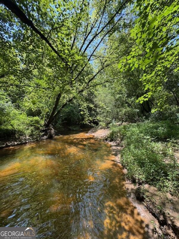 0 Old Columbus Road Bowdon, GA 30108 - Photo 15 of 30