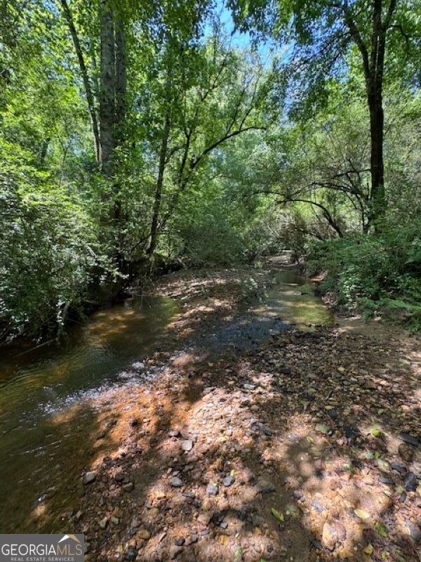 0 Old Columbus Road Bowdon, GA 30108 - Photo 16 of 30 a view of lake with green space