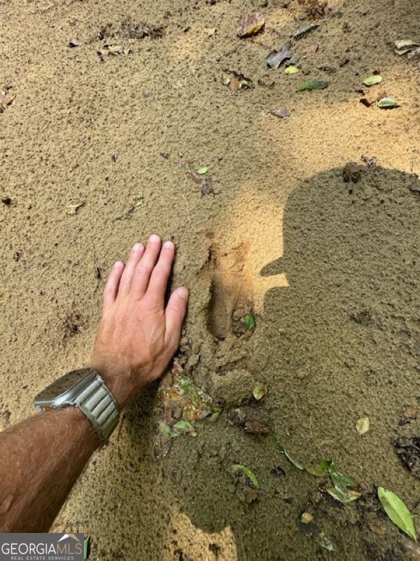 0 Old Columbus Road Bowdon, GA 30108 - Photo 17 of 30 a view of a bathroom