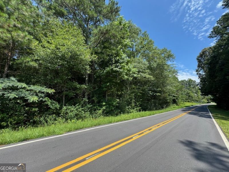 0 Old Columbus Road Bowdon, GA 30108 - Photo 2 of 30 a view of a road with a yard