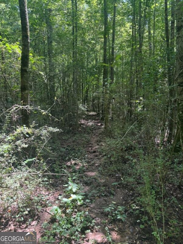0 Old Columbus Road Bowdon, GA 30108 - Photo 21 of 30 a view of a forest that has large trees