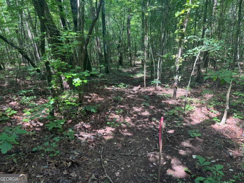 0 Old Columbus Road Bowdon, GA 30108 - Photo 22 of 30