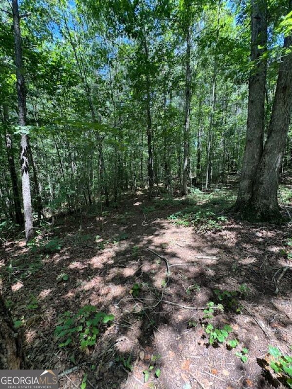 0 Old Columbus Road Bowdon, GA 30108 - Photo 23 of 30 a view of a forest with trees