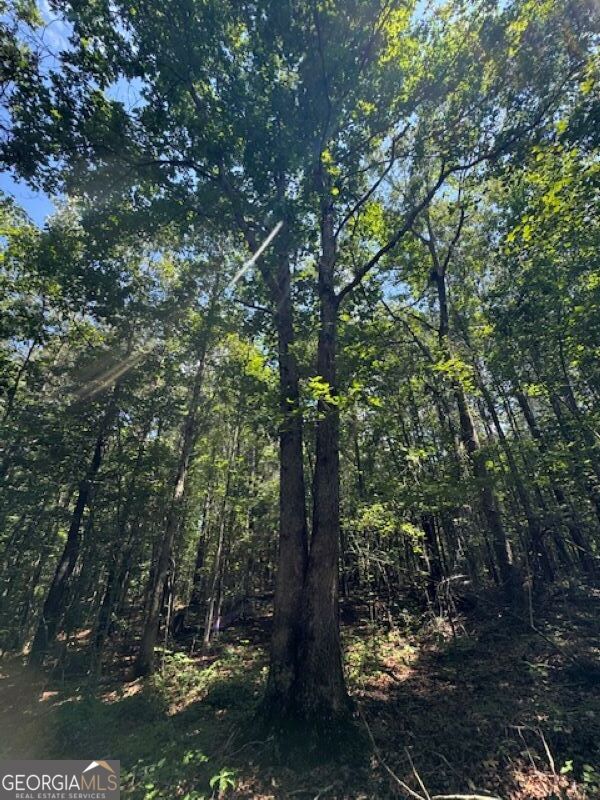 0 Old Columbus Road Bowdon, GA 30108 - Photo 24 of 30 a view of forest