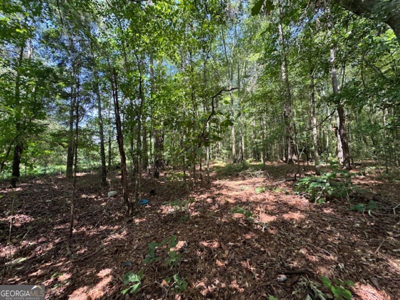 0 Old Columbus Road Bowdon, GA 30108 - Photo 4 of 30 a view of outdoor space and trees