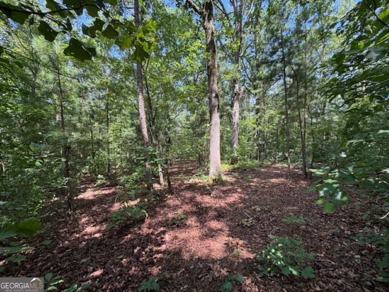 0 Old Columbus Road Bowdon, GA 30108 - Photo 5 of 30 a view of a forest with trees in the background
