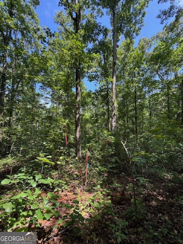 0 Old Columbus Road Bowdon, GA 30108 - Photo 6 of 30 a view of a forest