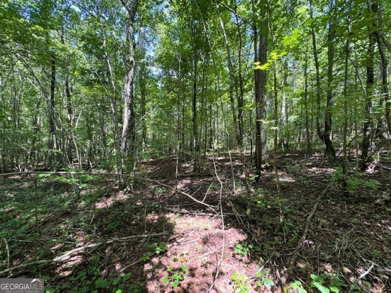 0 Old Columbus Road Bowdon, GA 30108 - Photo 8 of 30 a view of forest