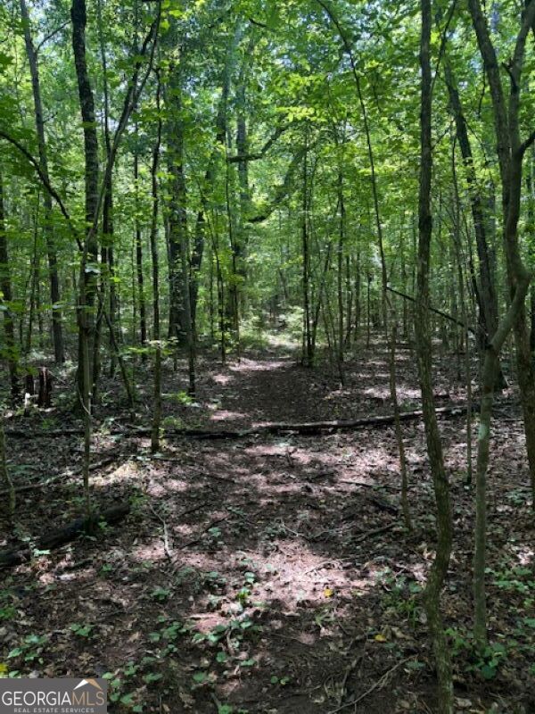 0 Old Columbus Road Bowdon, GA 30108 - Photo 9 of 30 a view of a forest with trees