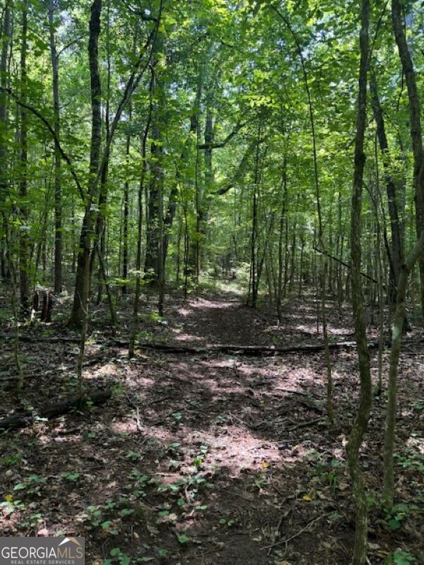 0 Old Columbus Road Bowdon, GA 30108 - Photo 10 of 30 a view of outdoor space with trees