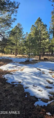 $120,000 | 14 County Road, Unit 36, Greer, AZ 85927