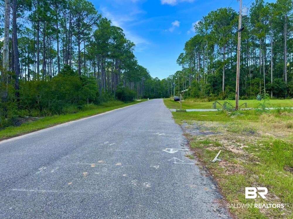0 Green Drive Coden, AL 36523 - Photo 4 of 4