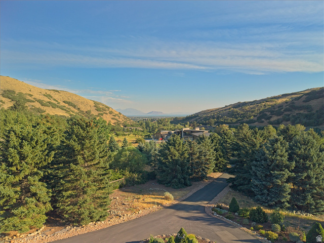 1801 Fort Canyon Road Alpine, UT 84004 - Photo 18 of 26 Paved driveways framed by mature evergreen trees