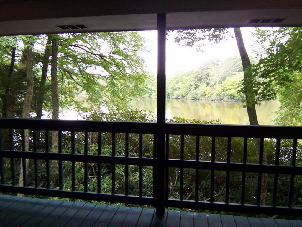 218 Ripshin Lake Road Roan Mountain, TN 37687 - Photo 3 of 28 Photo 3