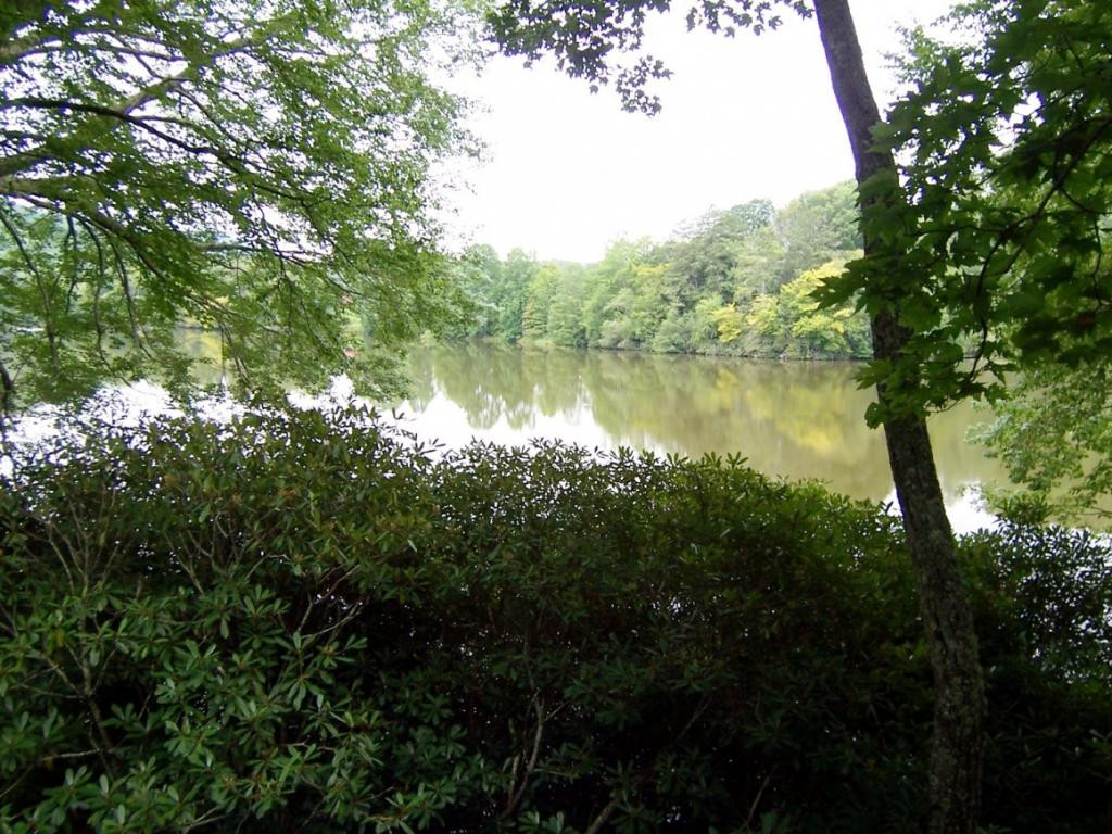 218 Ripshin Lake Road Roan Mountain, TN 37687 - Photo 4 of 28 Photo 4
