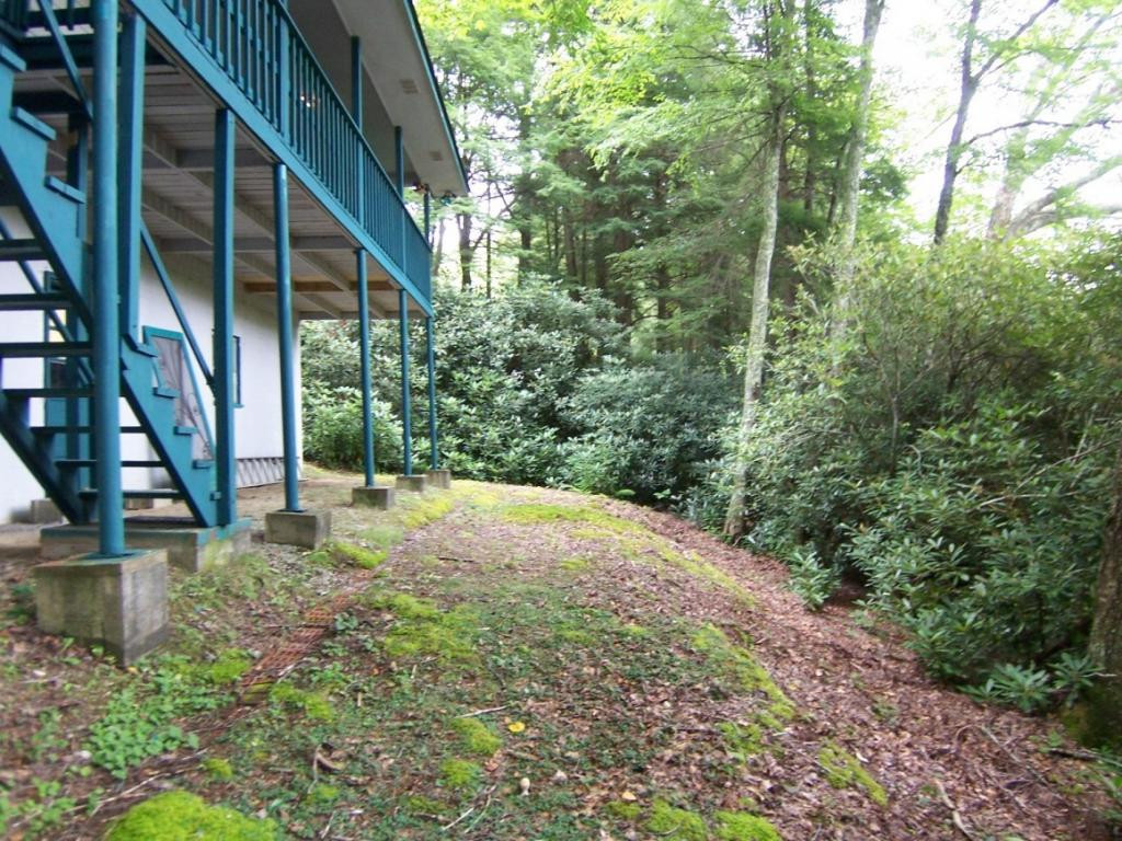 218 Ripshin Lake Road Roan Mountain, TN 37687 - Photo 9 of 28 Photo 9
