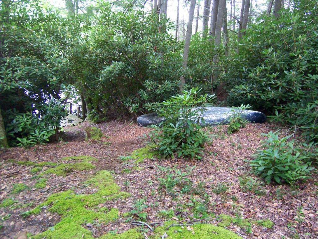 218 Ripshin Lake Road Roan Mountain, TN 37687 - Photo 10 of 28 Photo 10