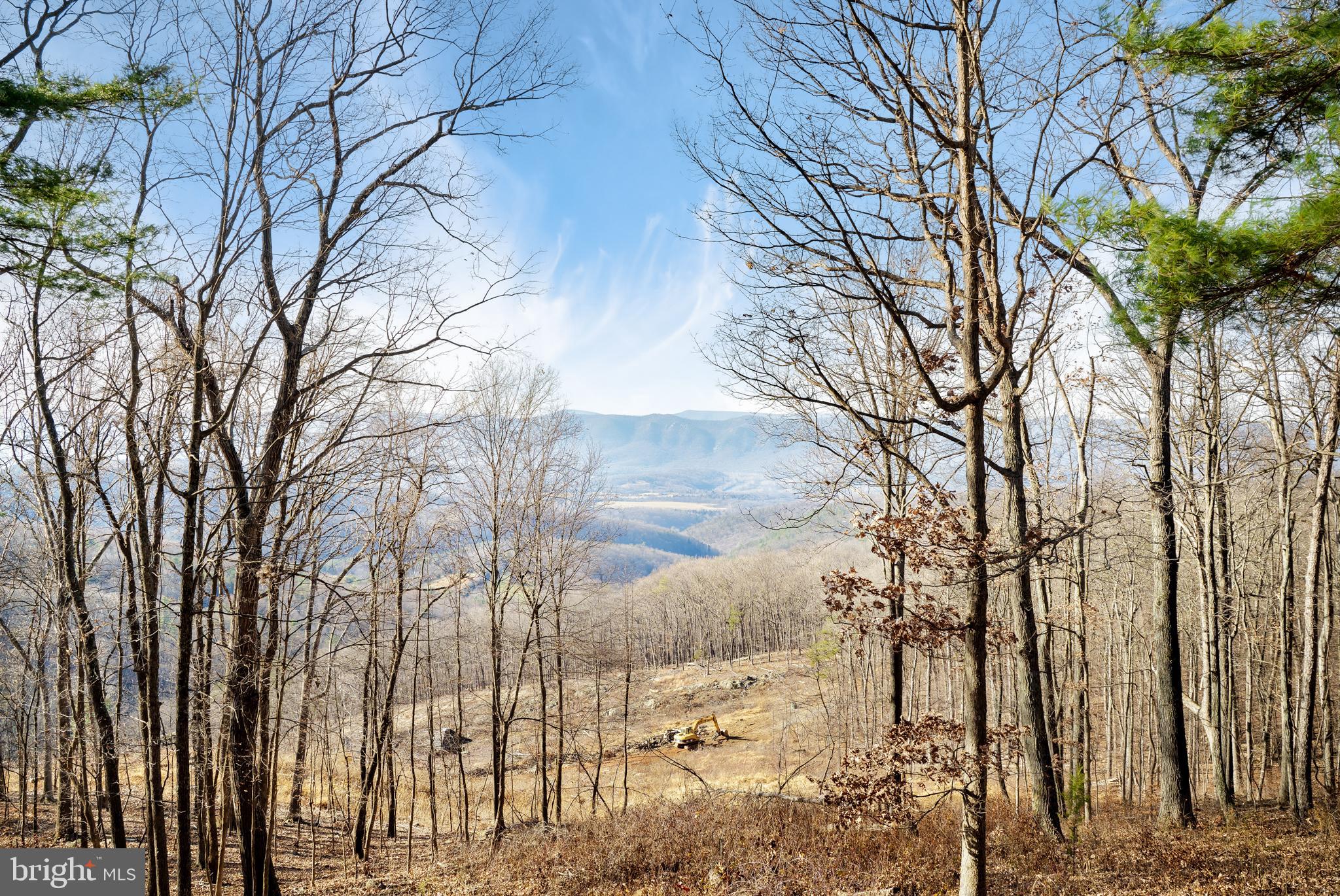 698 Valley View Road Rileyville, VA 22650 - Photo 47 of 54 Gallery Image 47