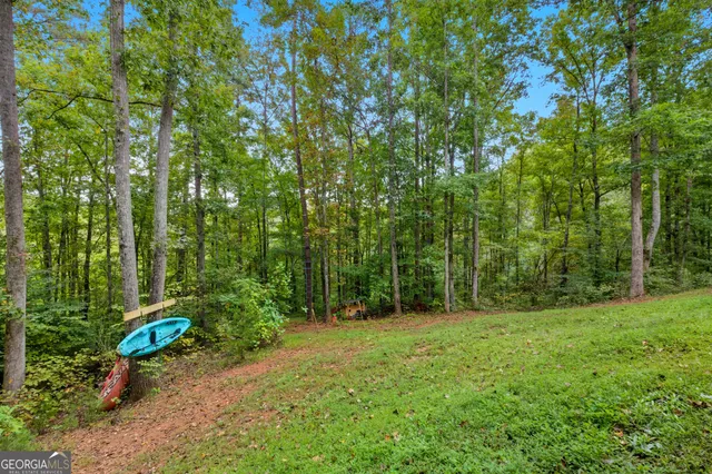 a view of outdoor space with green field and trees