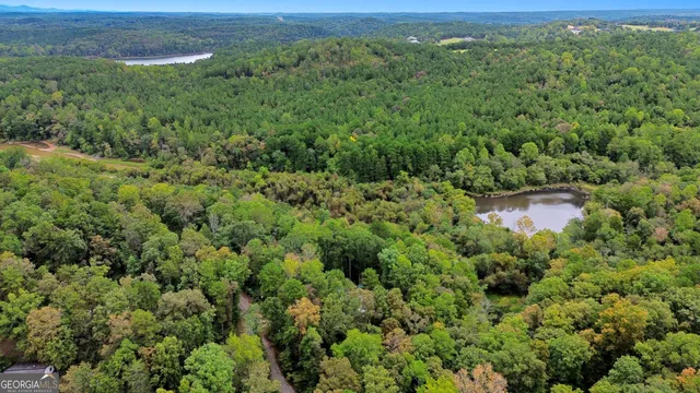 a view of a lush green forest with trees and houses