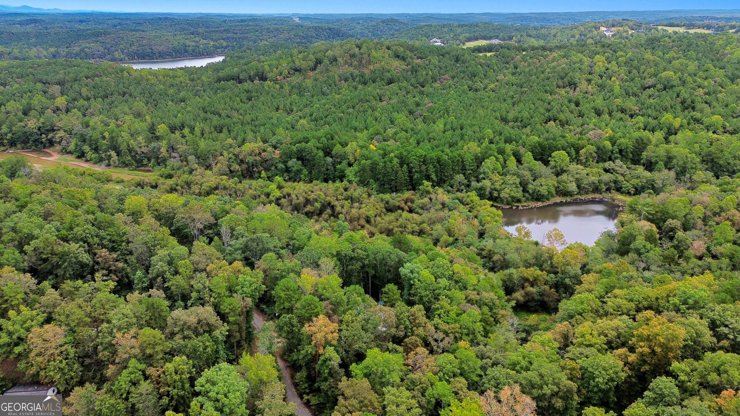 567 Cherokee Road Toccoa, GA 30577 - Photo 27 of 32 a view of a lush green forest with trees and houses