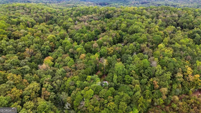 a view of a large yard with lots of green space