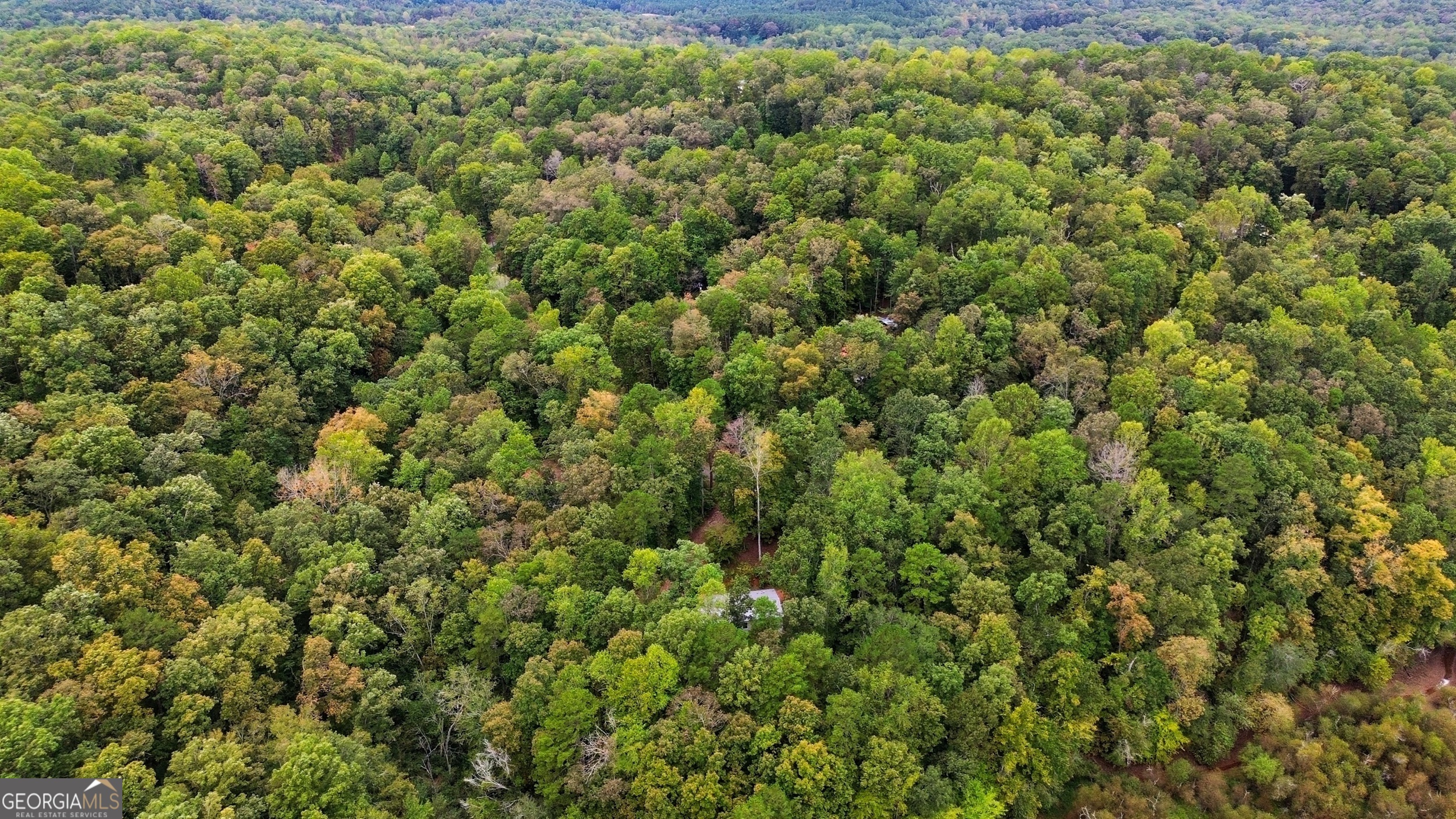 567 Cherokee Road Toccoa, GA 30577 - Photo 29 of 32 a view of a large yard with lots of green space