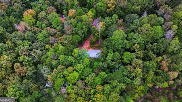 a view of a house with a plant
