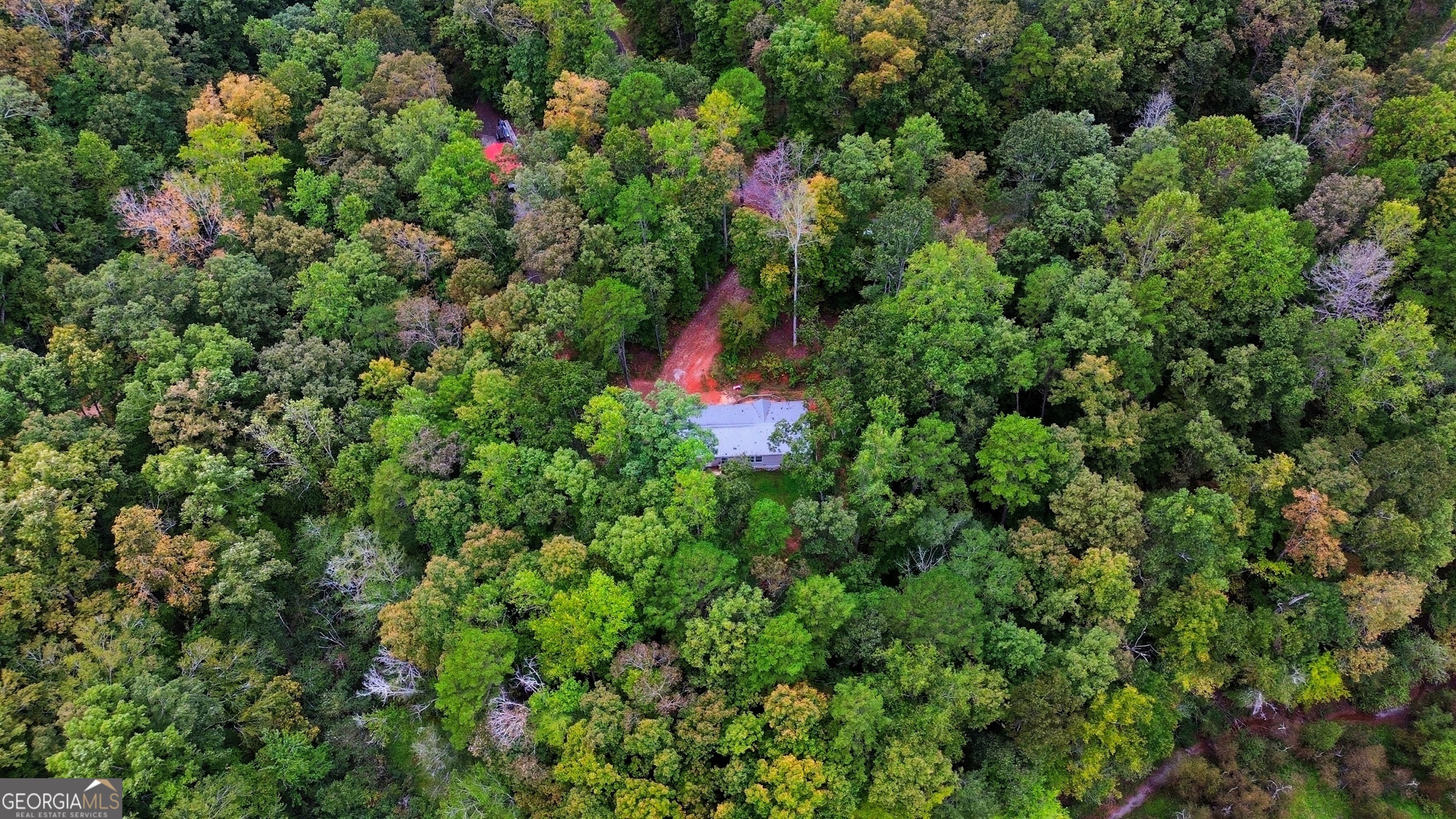 567 Cherokee Road Toccoa, GA 30577 - Photo 31 of 32 a view of a house with a plant