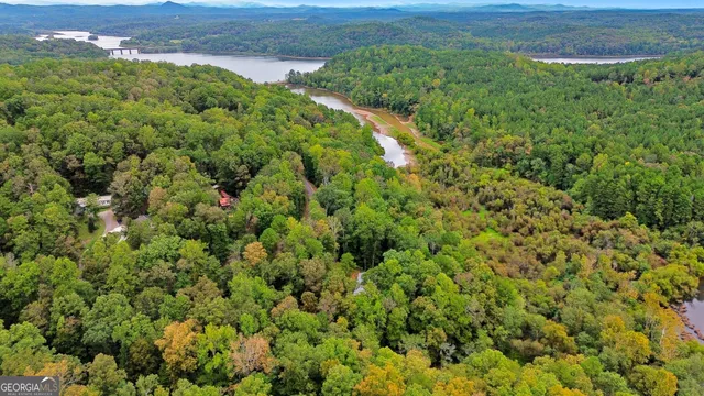 a view of a lush green forest with lots of trees