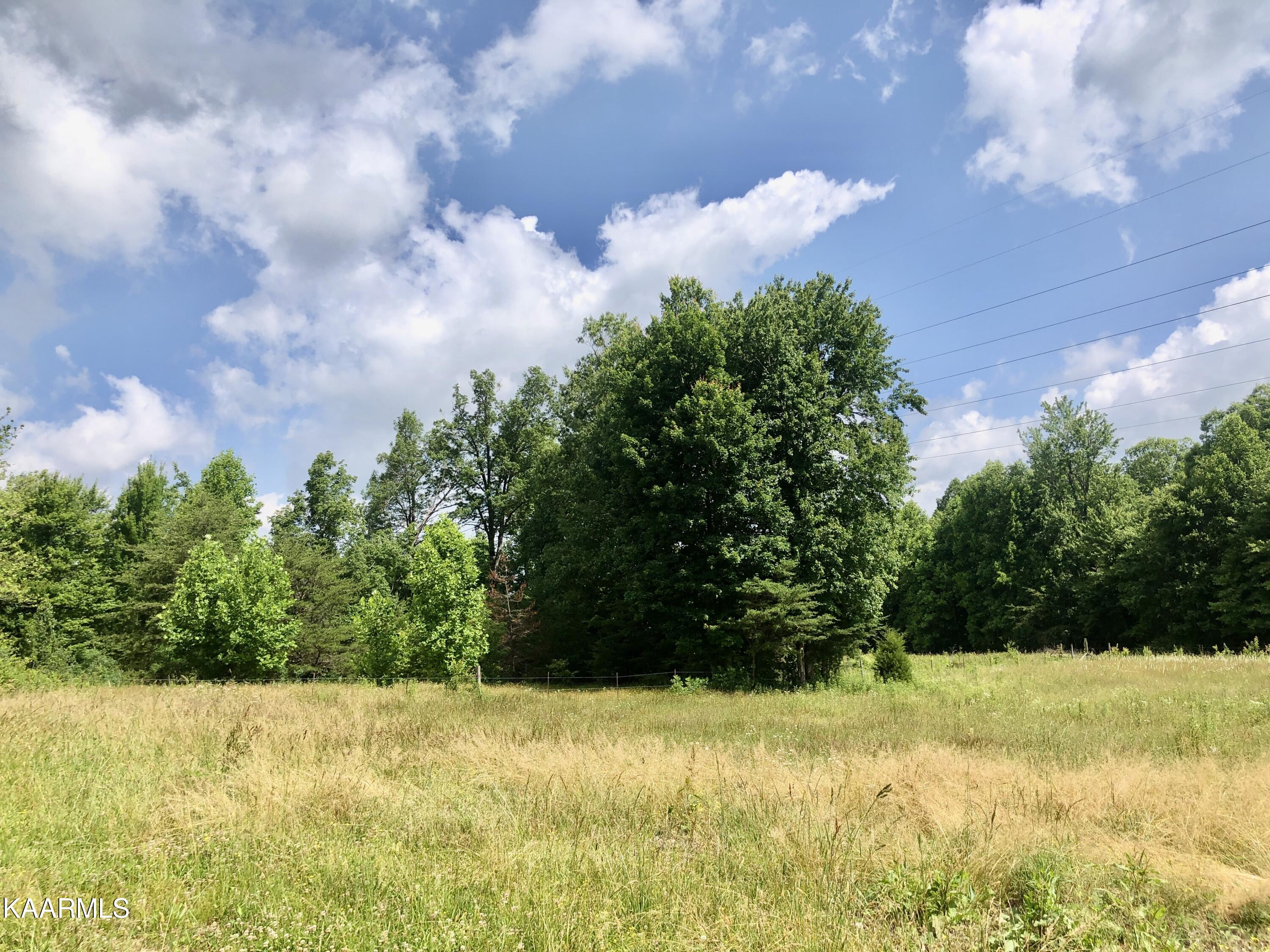 1419 Dripping Springs Road Monterey, TN 38574 - Photo 54 of 60 1-67