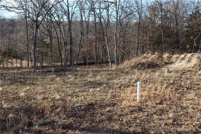 $44,500 | 126 Indian Rock Avenue, Gravois Mills, MO 65037