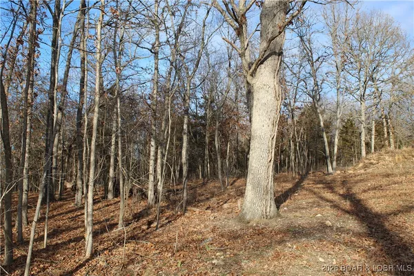 $44,500 | 126 Indian Rock Avenue, Gravois Mills, MO 65037