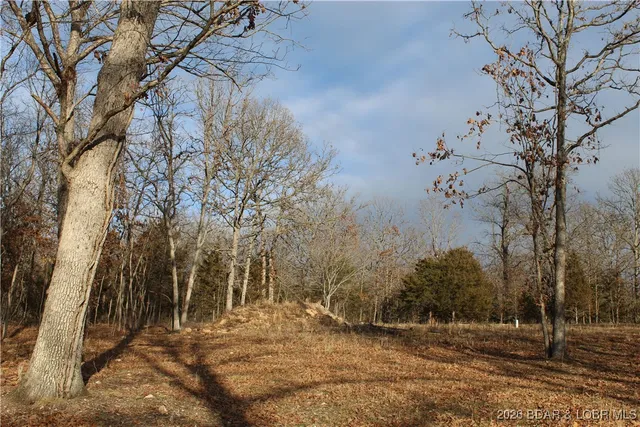 $44,500 | 126 Indian Rock Avenue, Gravois Mills, MO 65037