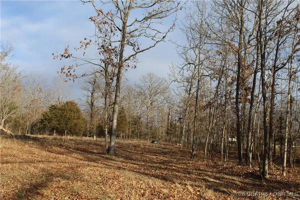 $44,500 | 126 Indian Rock Avenue, Gravois Mills, MO 65037
