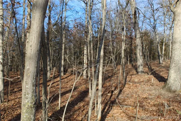 $44,500 | 126 Indian Rock Avenue, Gravois Mills, MO 65037