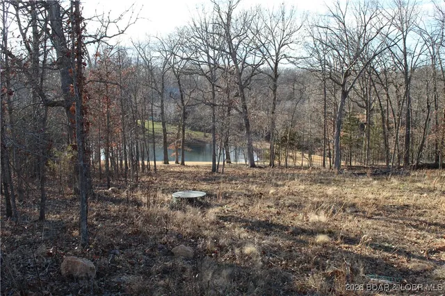 $44,500 | 126 Indian Rock Avenue, Gravois Mills, MO 65037