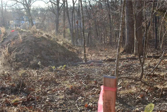 $44,500 | 126 Indian Rock Avenue, Gravois Mills, MO 65037