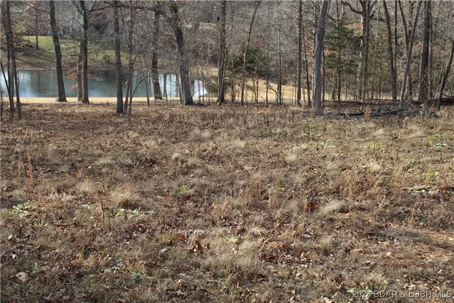 $44,500 | 126 Indian Rock Avenue, Gravois Mills, MO 65037